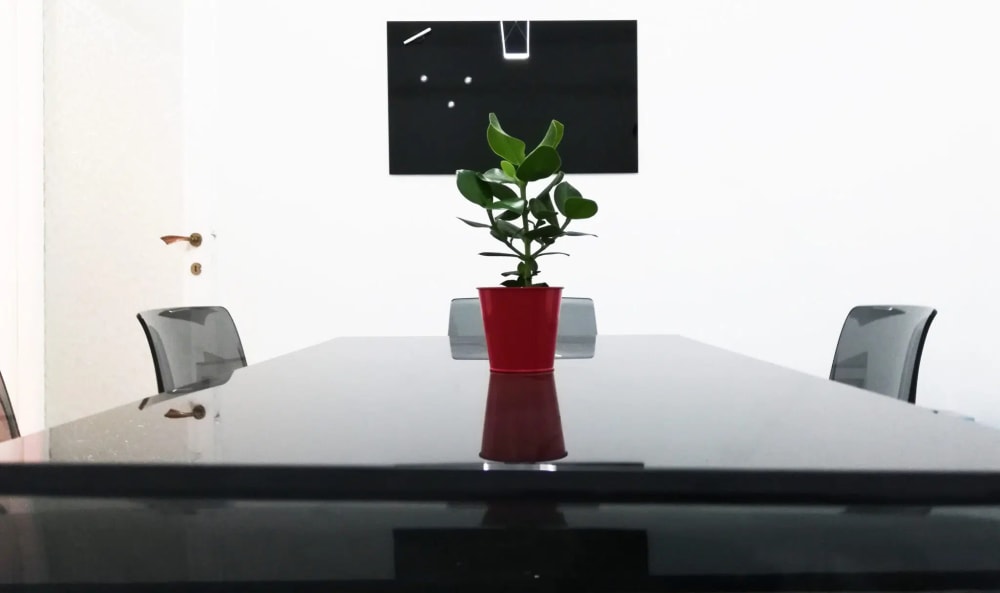 Why Not CoWorking- Rome