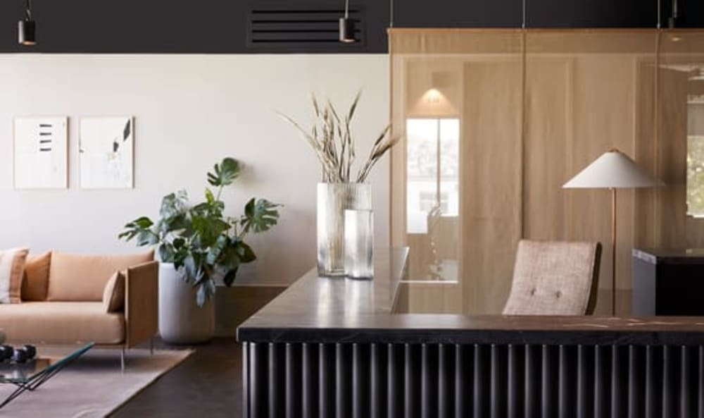 Vitaxo London 240 Portobello Road london