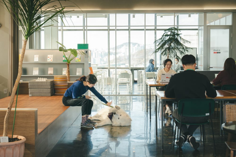 HEYGROUND-Forest Branch