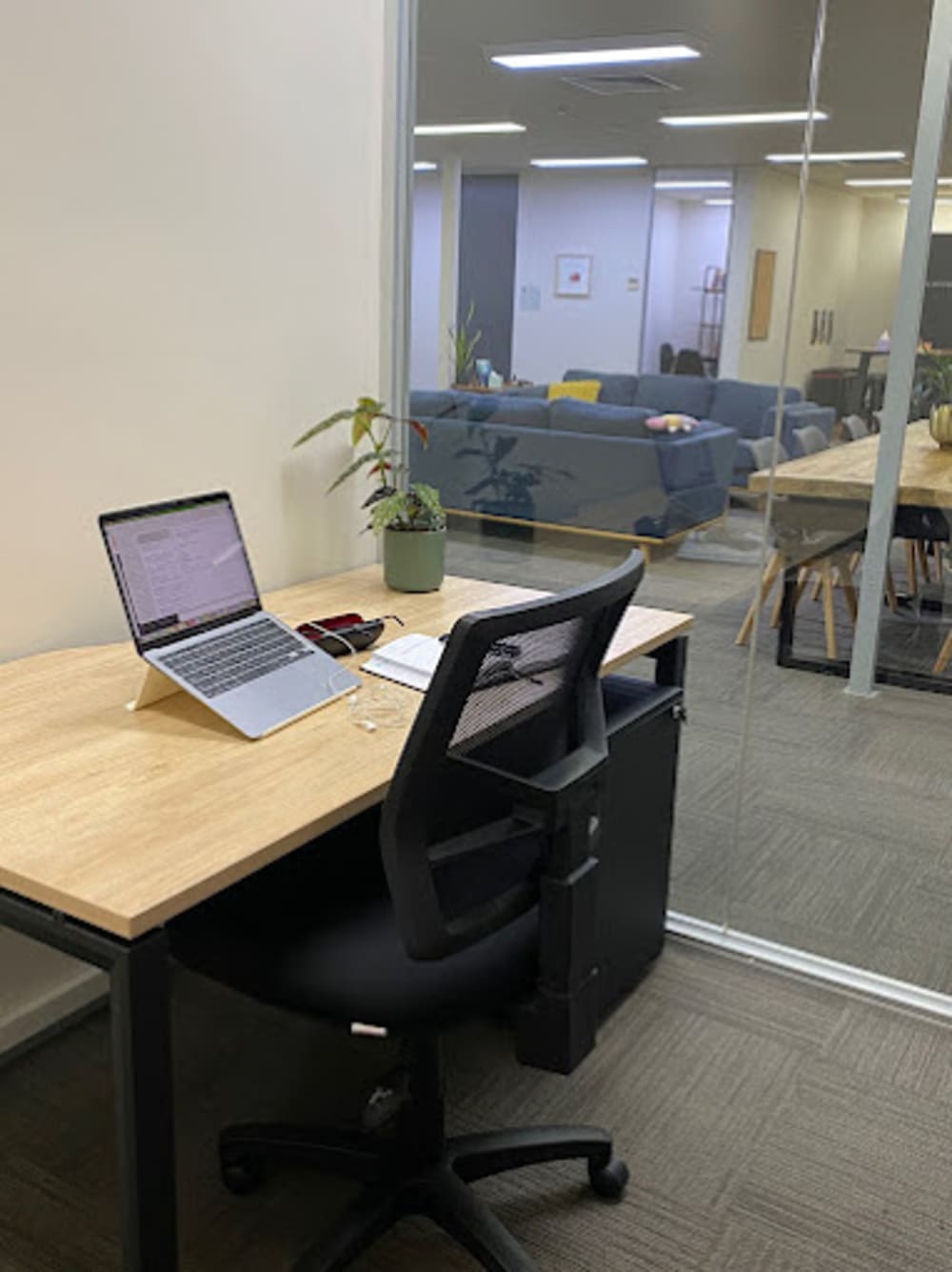 Platypus Coworking 51 Lydiard Street South