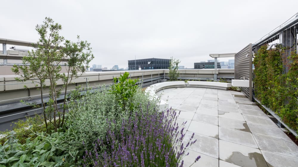 WeWork Hanzomon PREX South