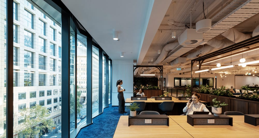 Space Penguin-447 Collins Street