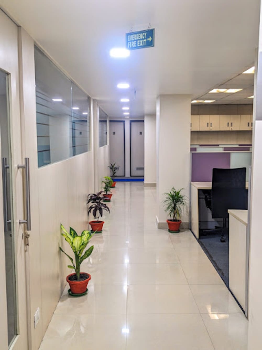 Chowringhee Court Kolkata