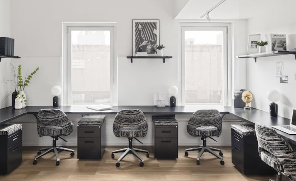 The New Work Project