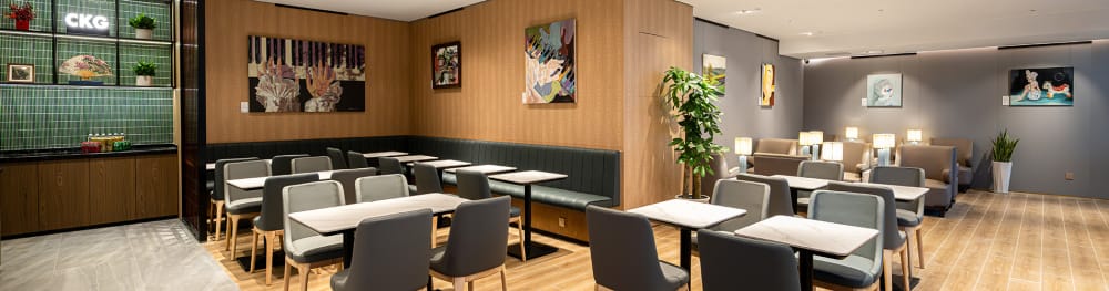 Plaza Premium Lounge-Pier H International Departures Terminal T3A