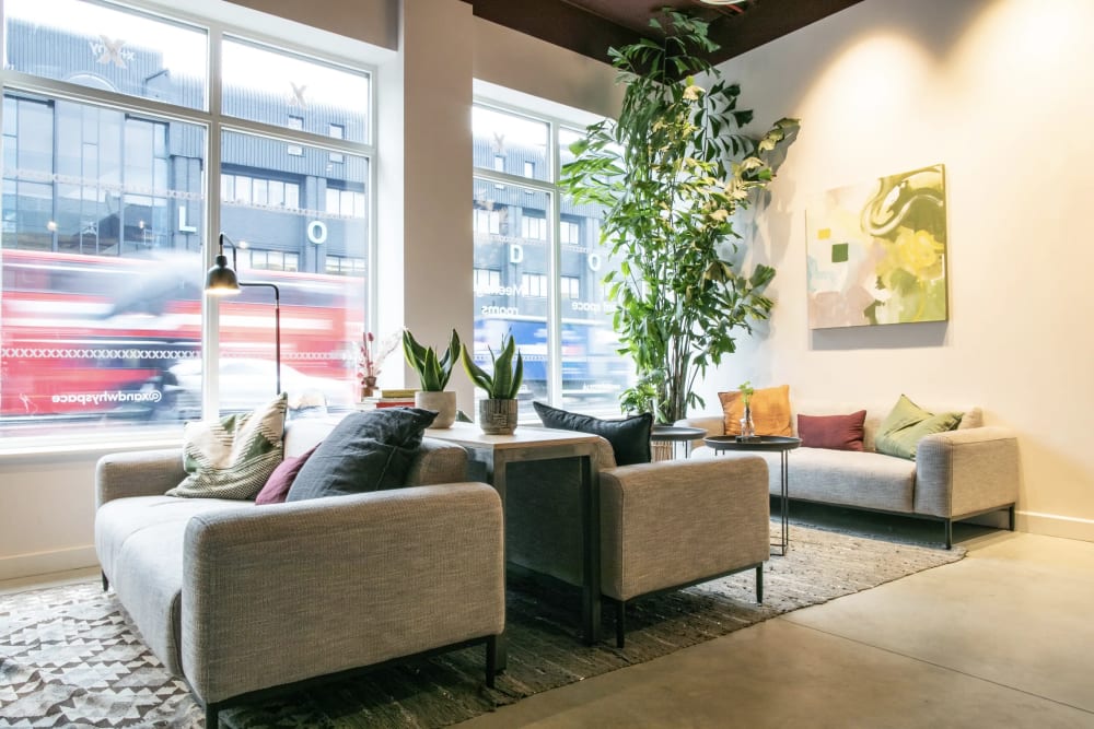 X+Why Limited london