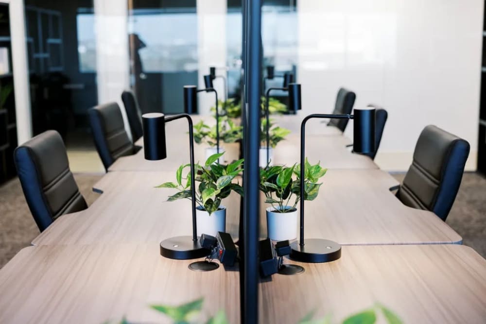 Lucid Private Offices Mockingbird Station SMU