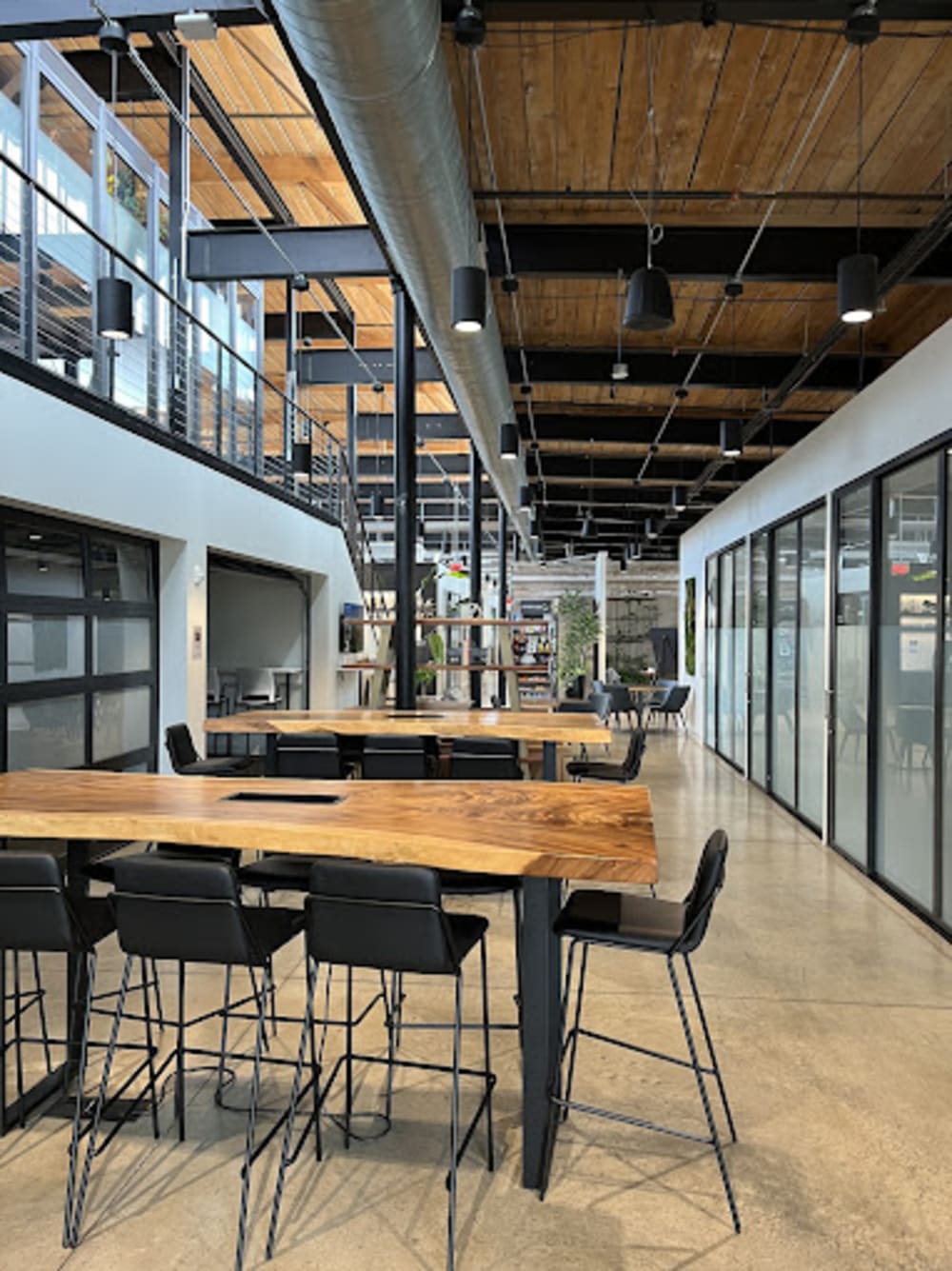 Venture X Plush Mills-Greenville
