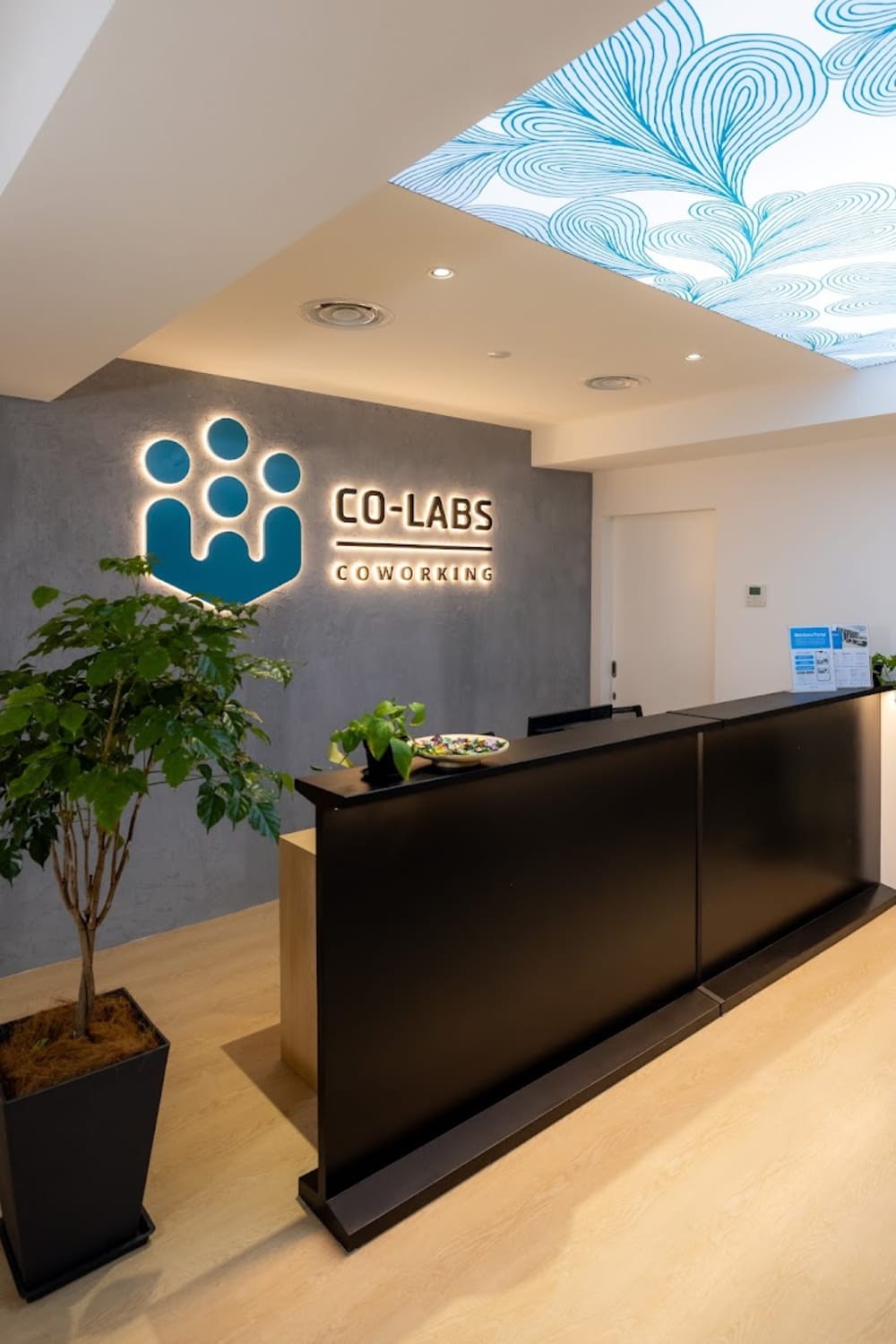Co-labs Coworking The Five