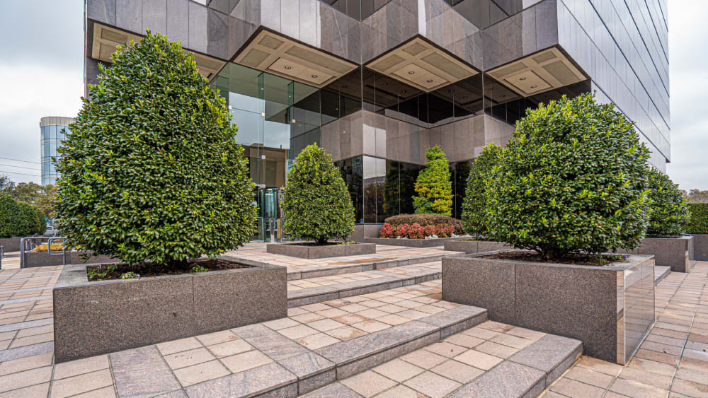 The Cue North Dallas