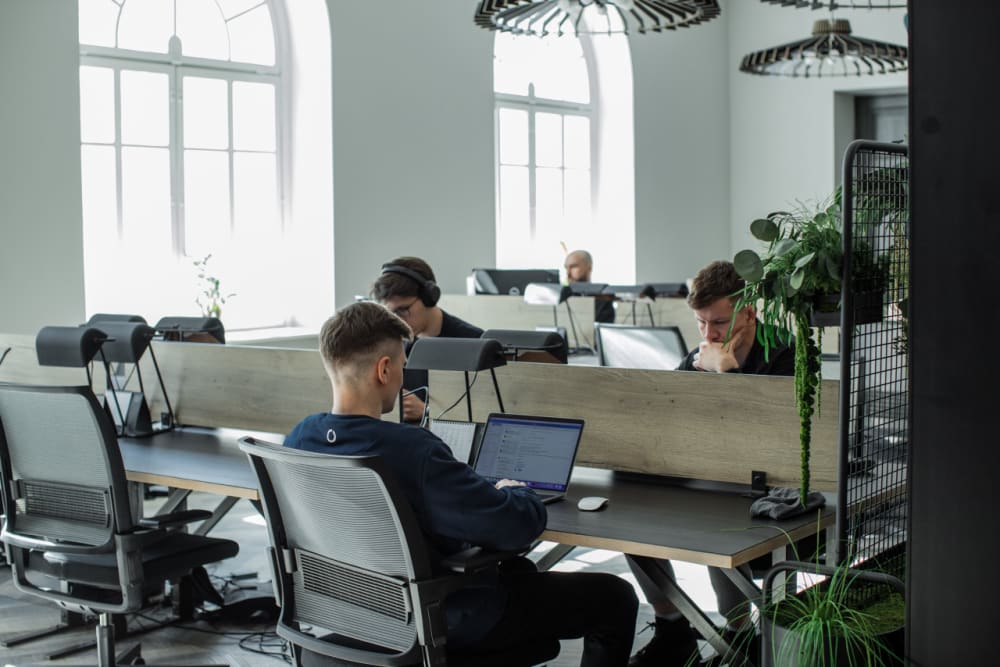 Workland Vabaduse