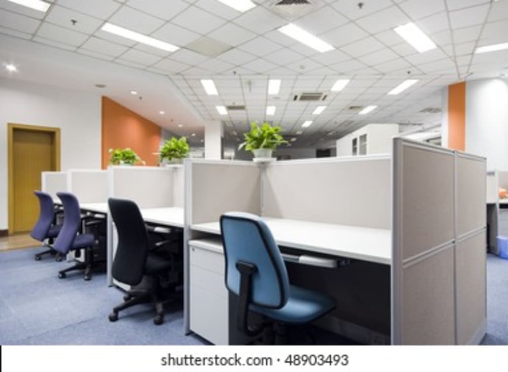 Dummy Business Account