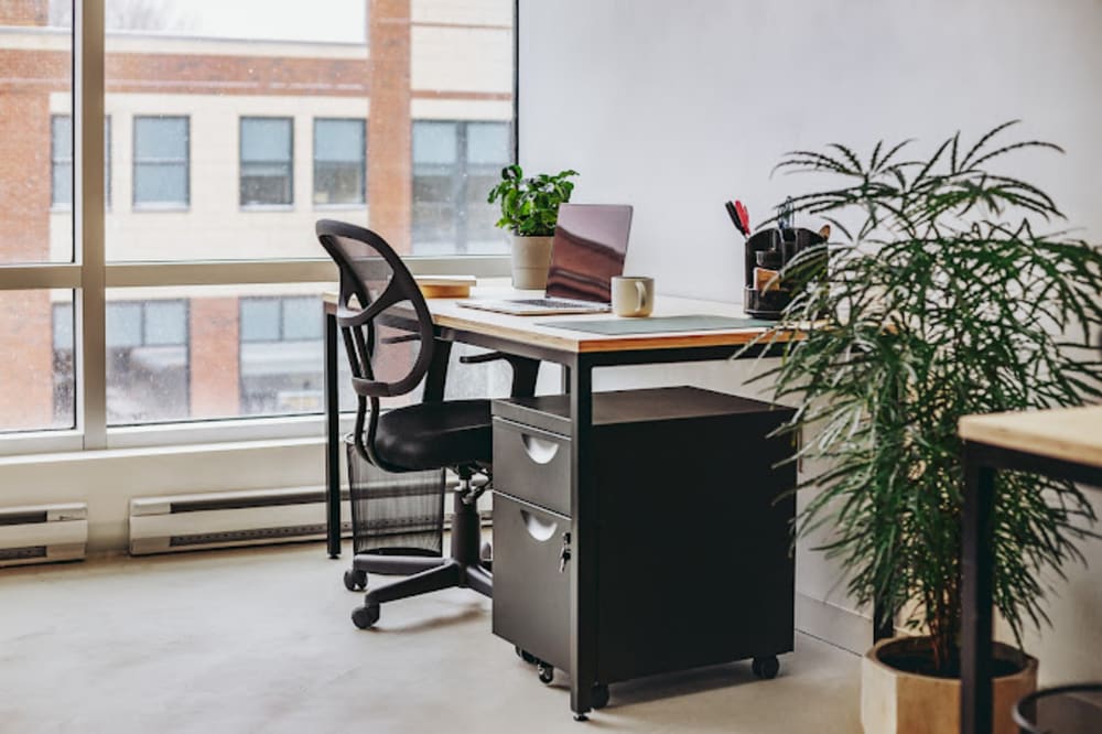 Vic Collective Westmount