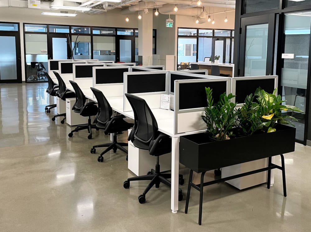 Staples Studio-Calgary