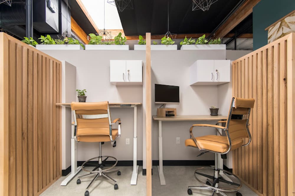 TrueWork Avenida Encinas