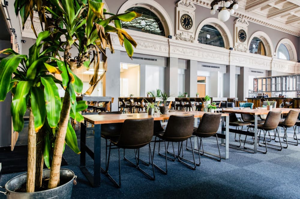 TechArtista Downtown