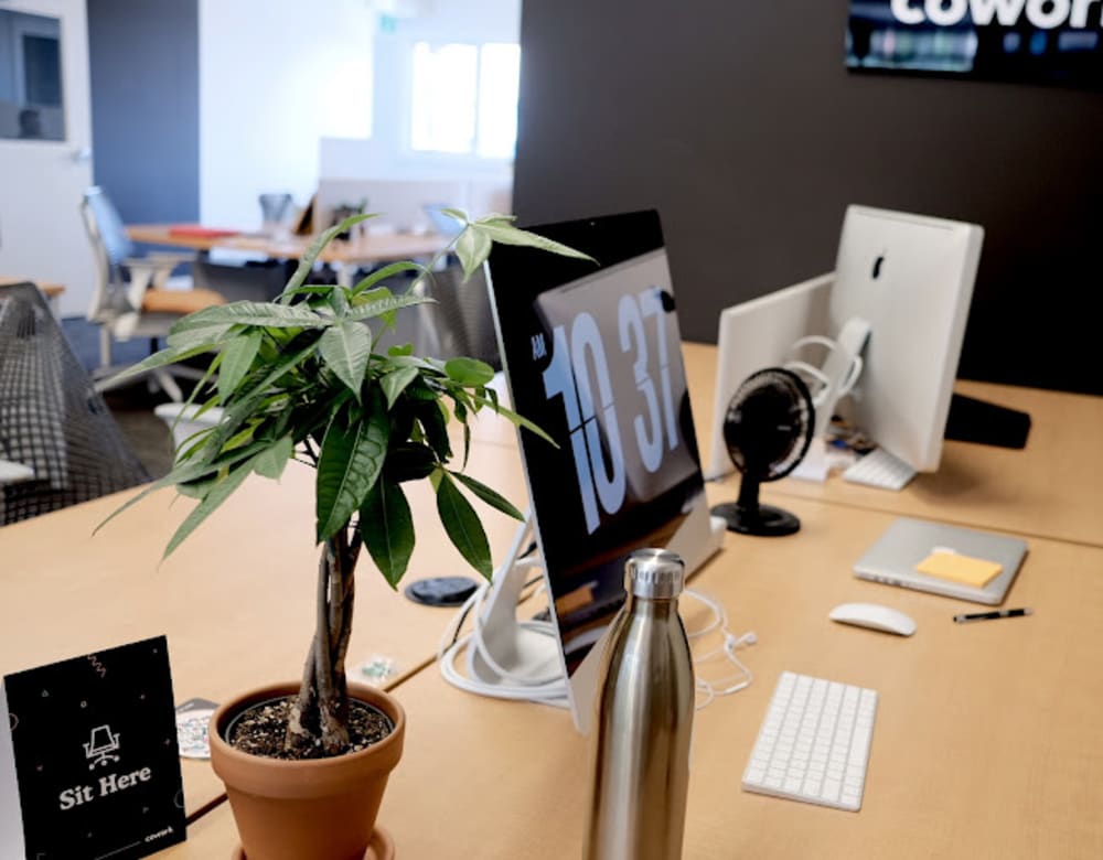 Input Cowork-38 Victoria