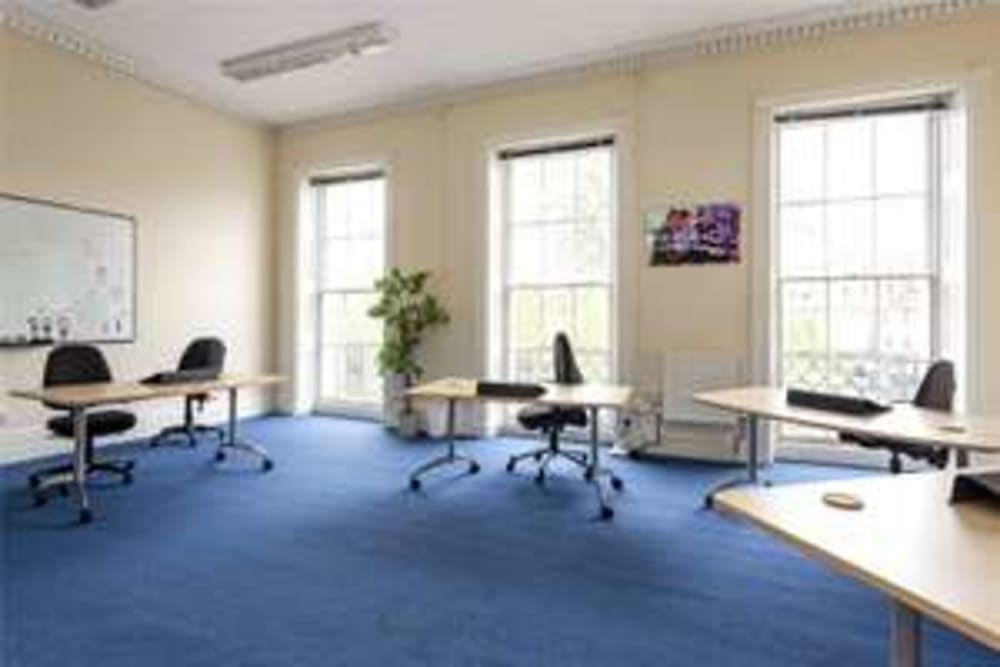 Cactus Search Worcester