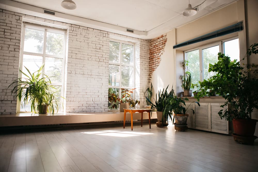 Best Place-Severnaya