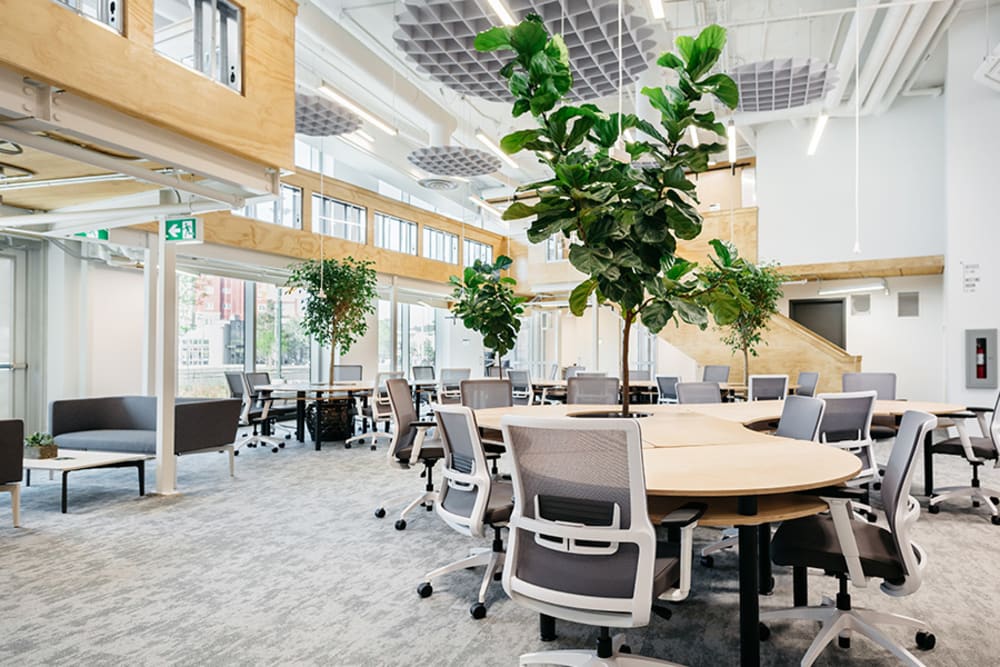 Roundhouse- Allard Hall