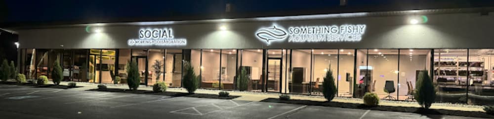 Social Coworking Collaboration-Warwick