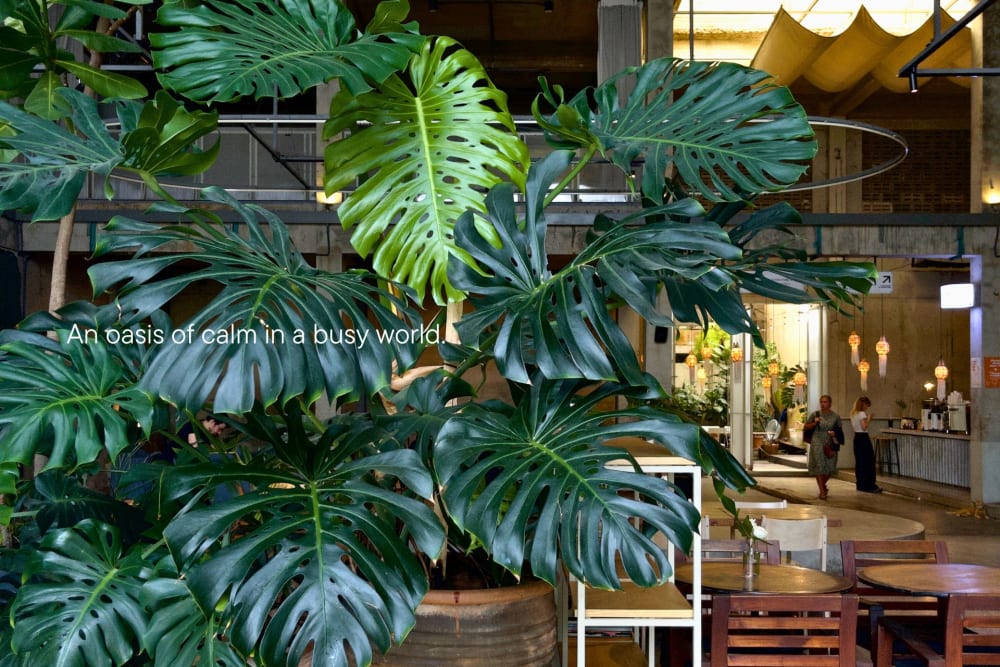 Weave Artisan Society-Chiang Mai