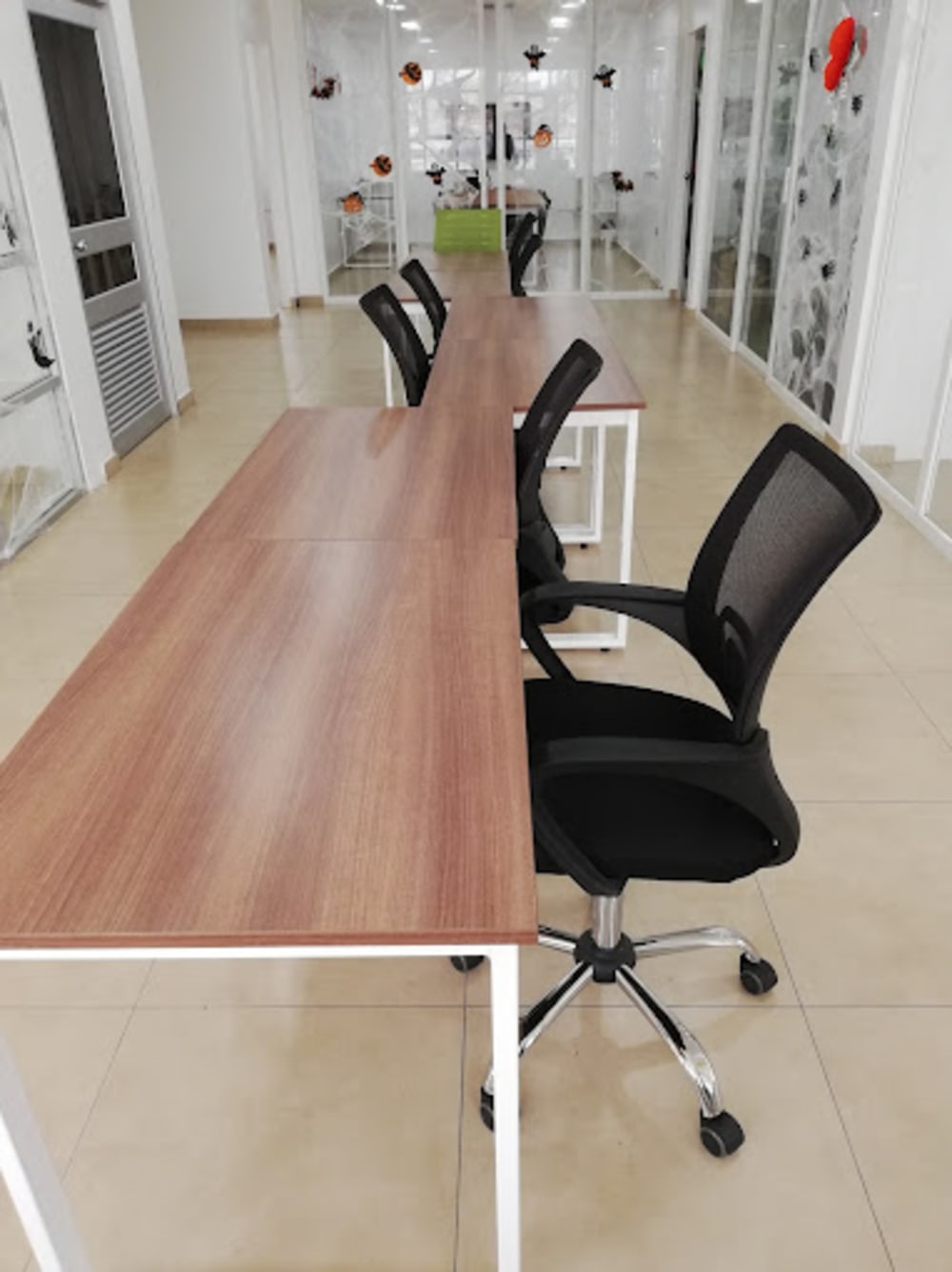 Invernadero Coworking- Balsamos