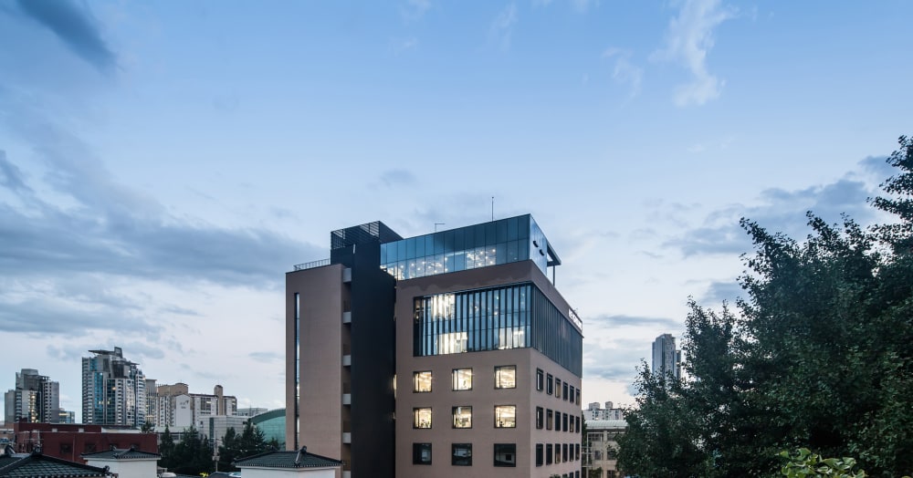 HEYGROUND-Forest Branch