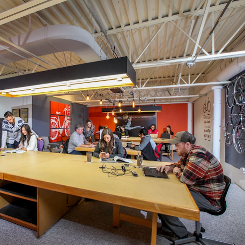 HUBWorX360 Maple-Troy