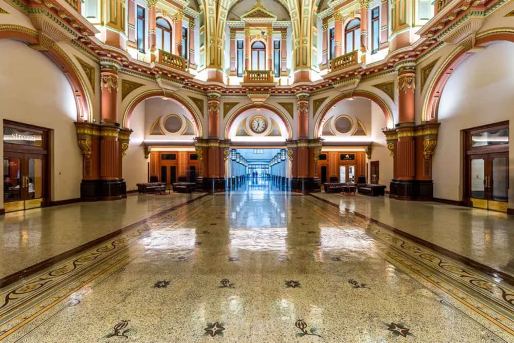 Space Penguin-333 Collins Street