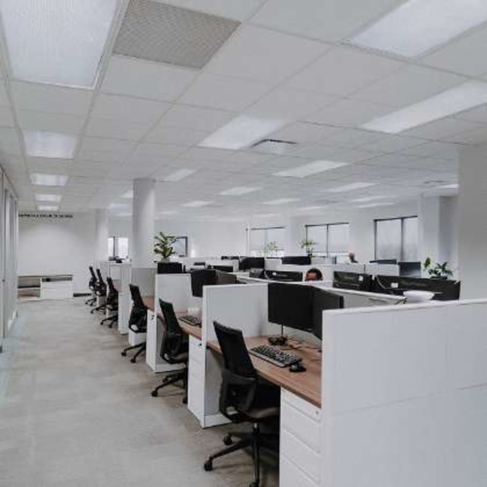 Asset House  Thorpe Peterborough