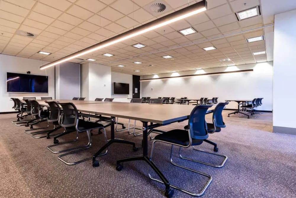 Space Penguin-333 Collins Street