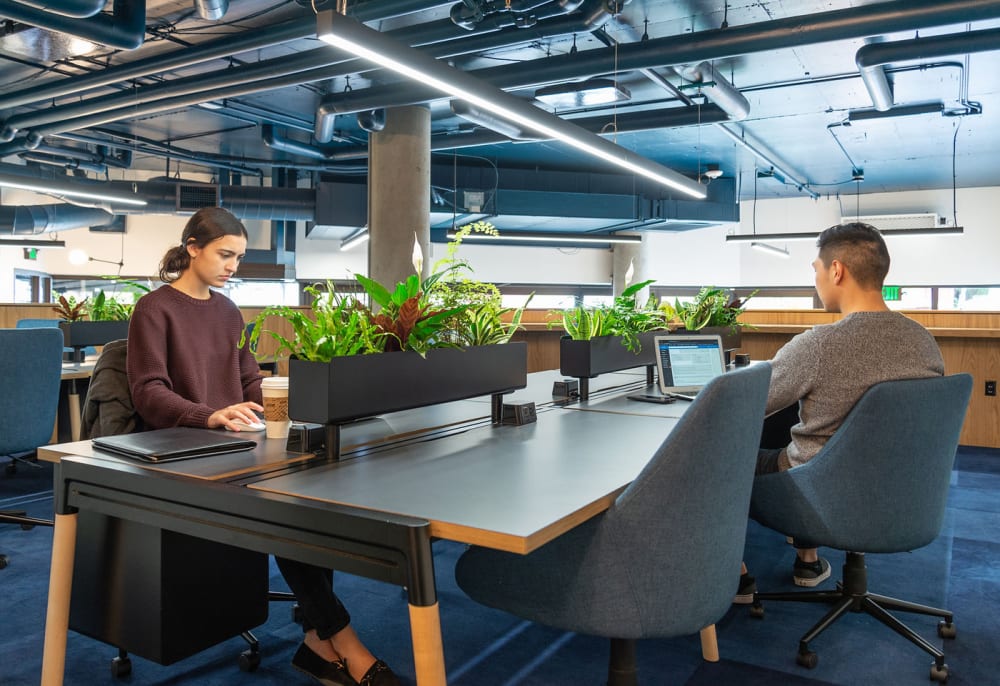 Seven Starlings Workloft 6717 Roosevelt Way