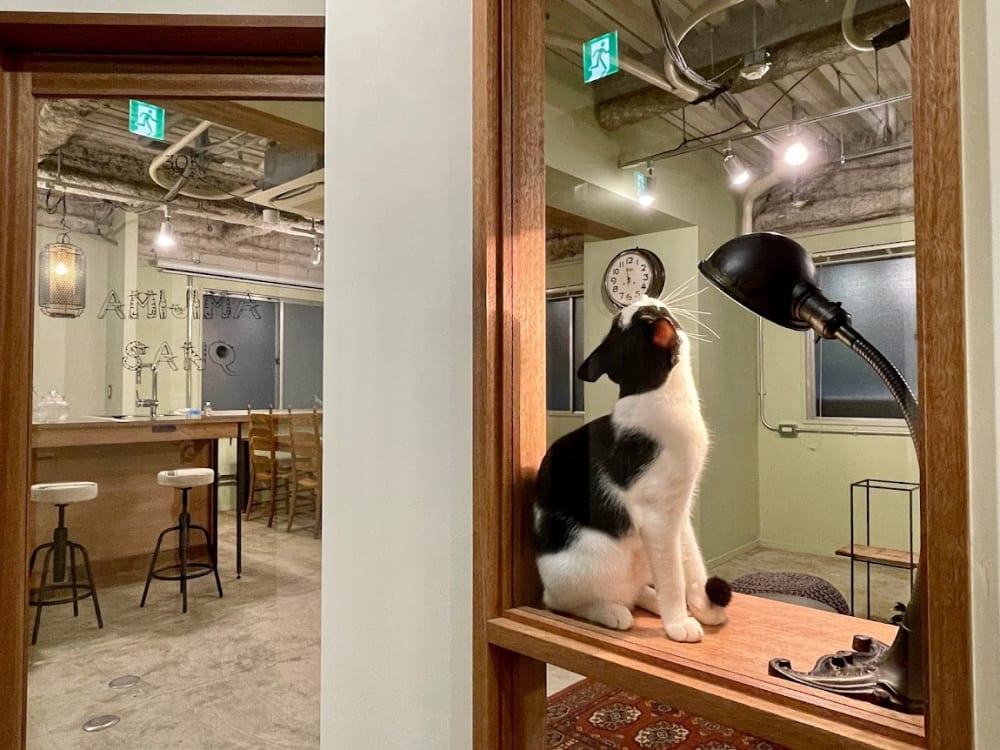 Telecube Herbis Osaka Office Tower