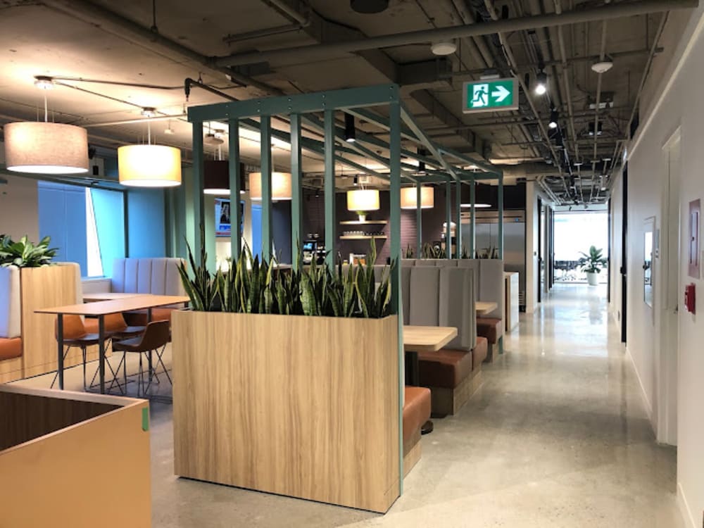 iQ Offices- Queen St