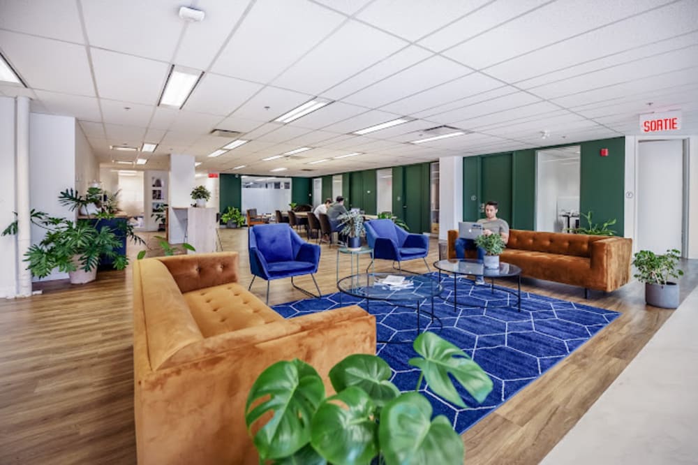 Vic Collective Westmount