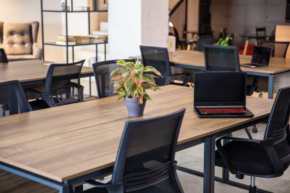 Vake, Tbilisi, Georgia