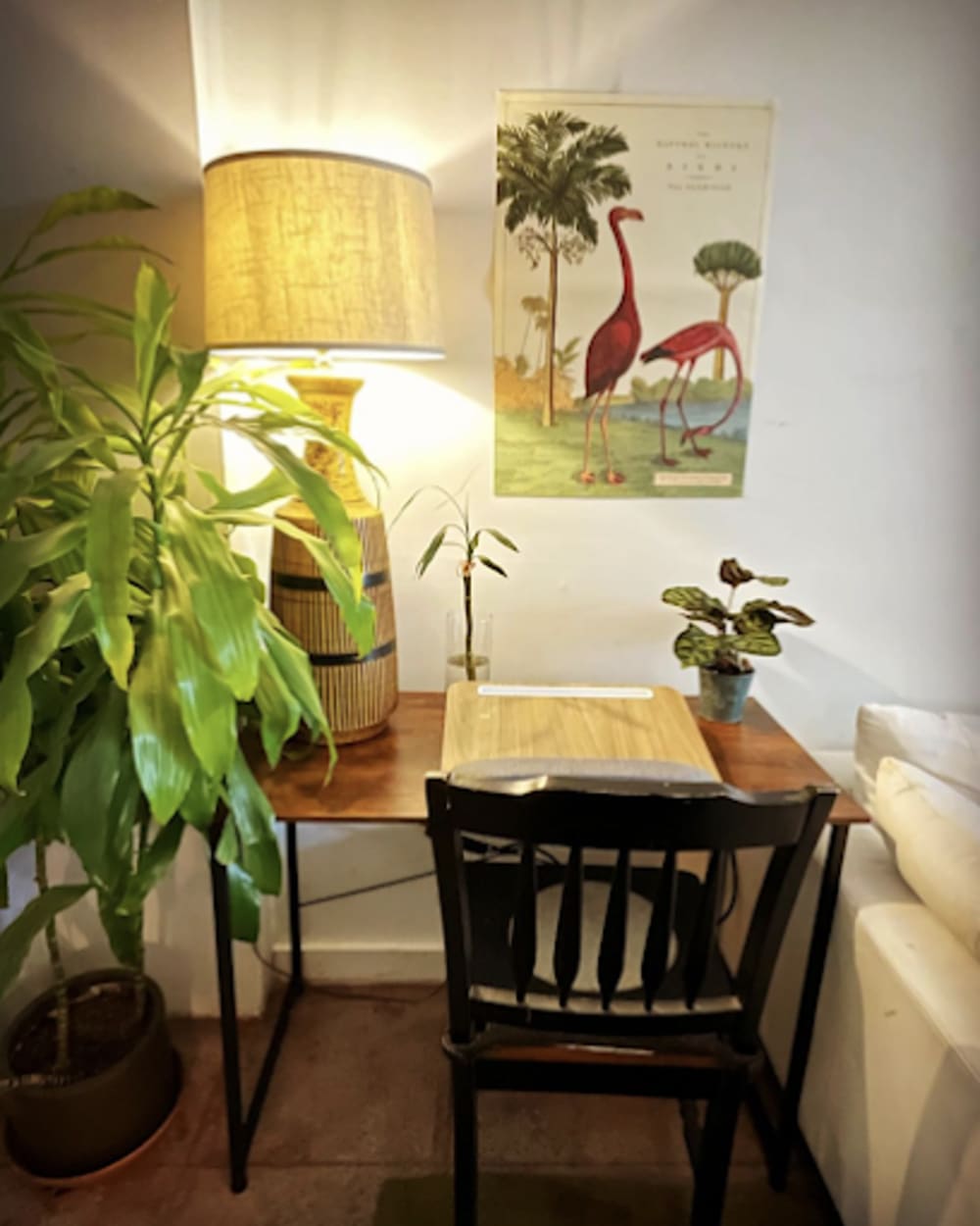 The Radical Reading Room