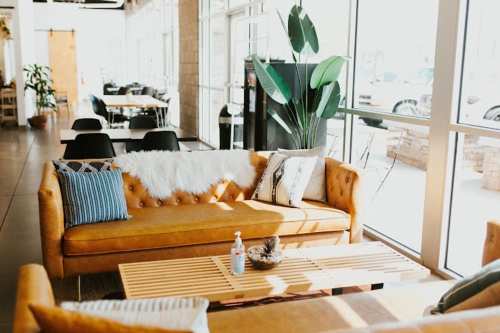 Palette Collective Scottsdale