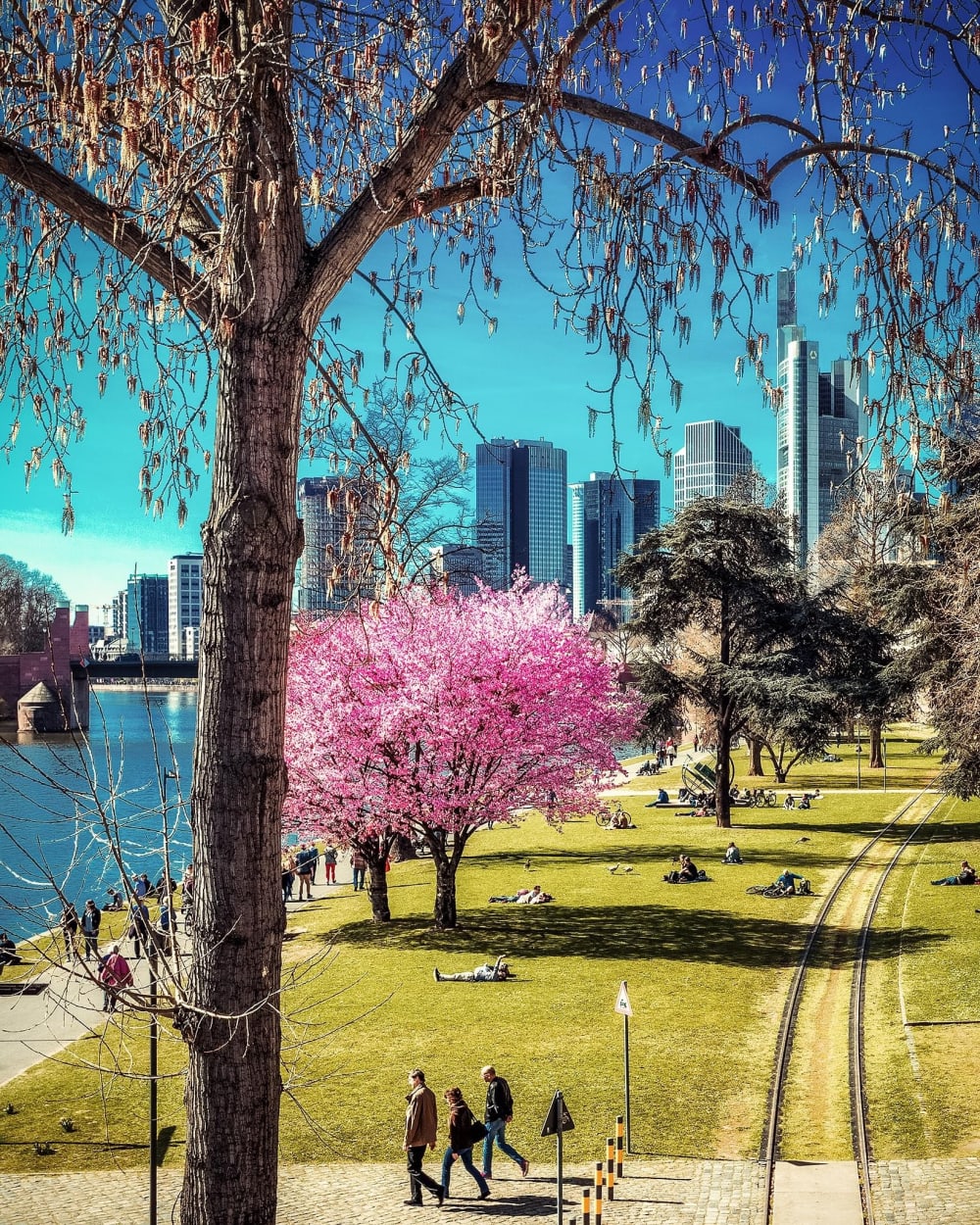 K-1 BusinessClub Ostend