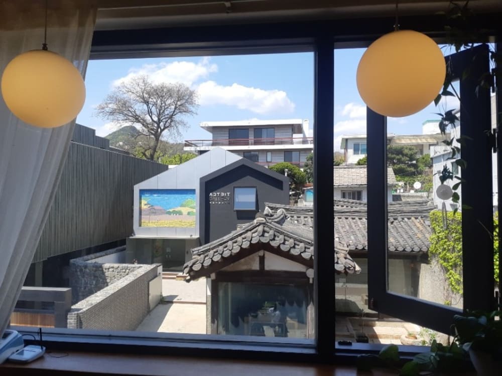 Space Cloud-Forest Gugu