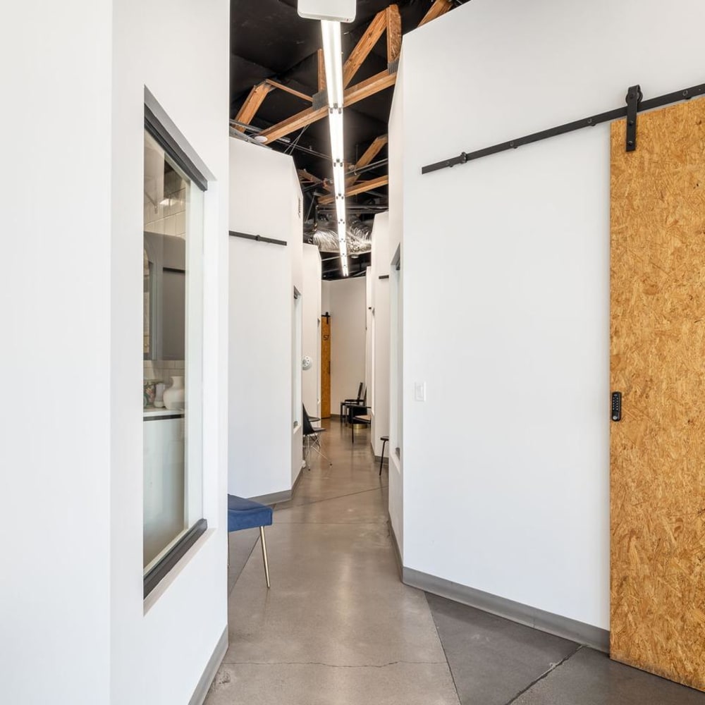 Palette Collective Gilbert