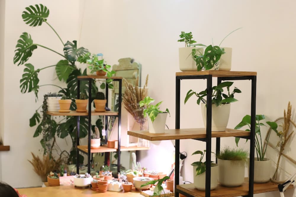 Kovorking Vse Zhivoye