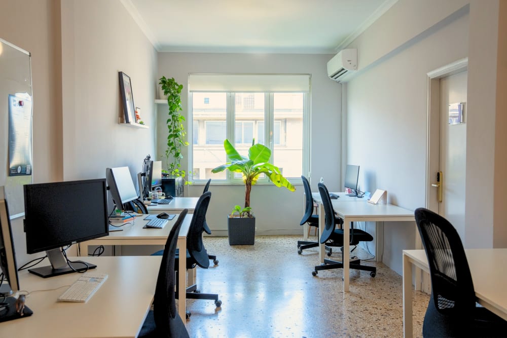 Stone Soup Coworking