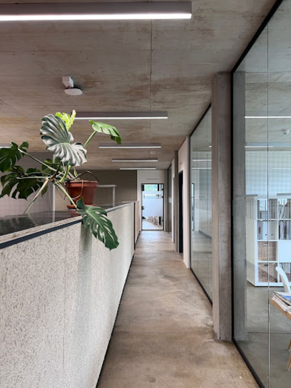 SVAP House CoWorking