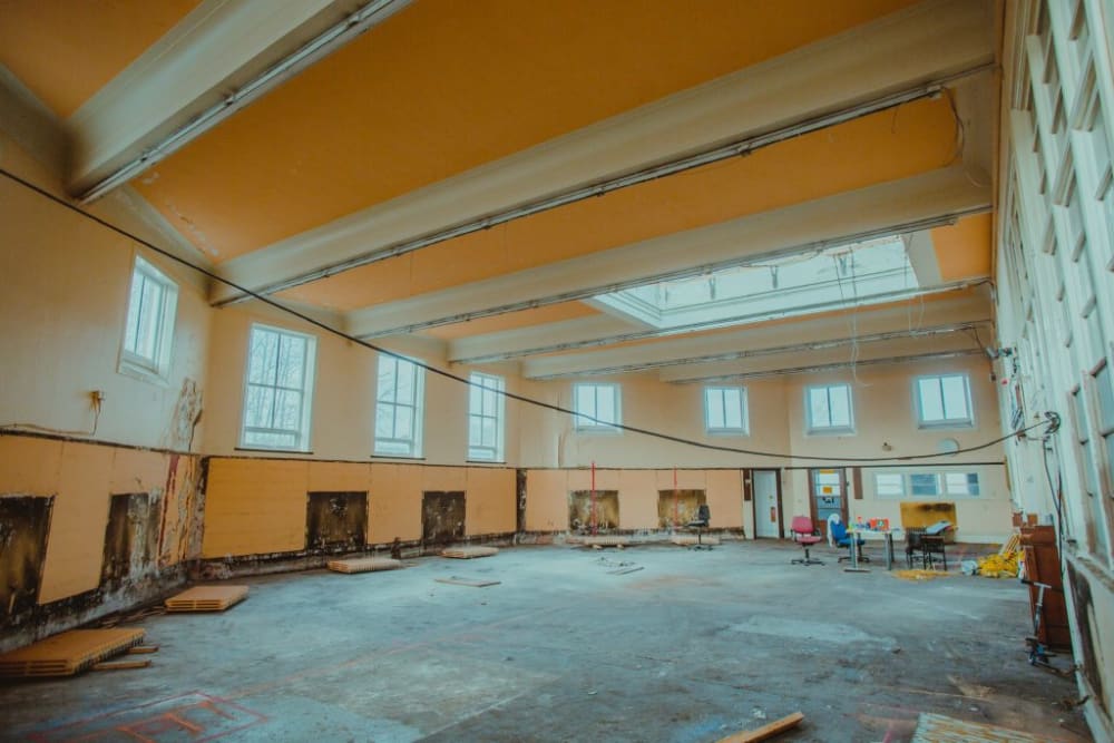 HIveTree 168 Brinkburn Street  Newcastle