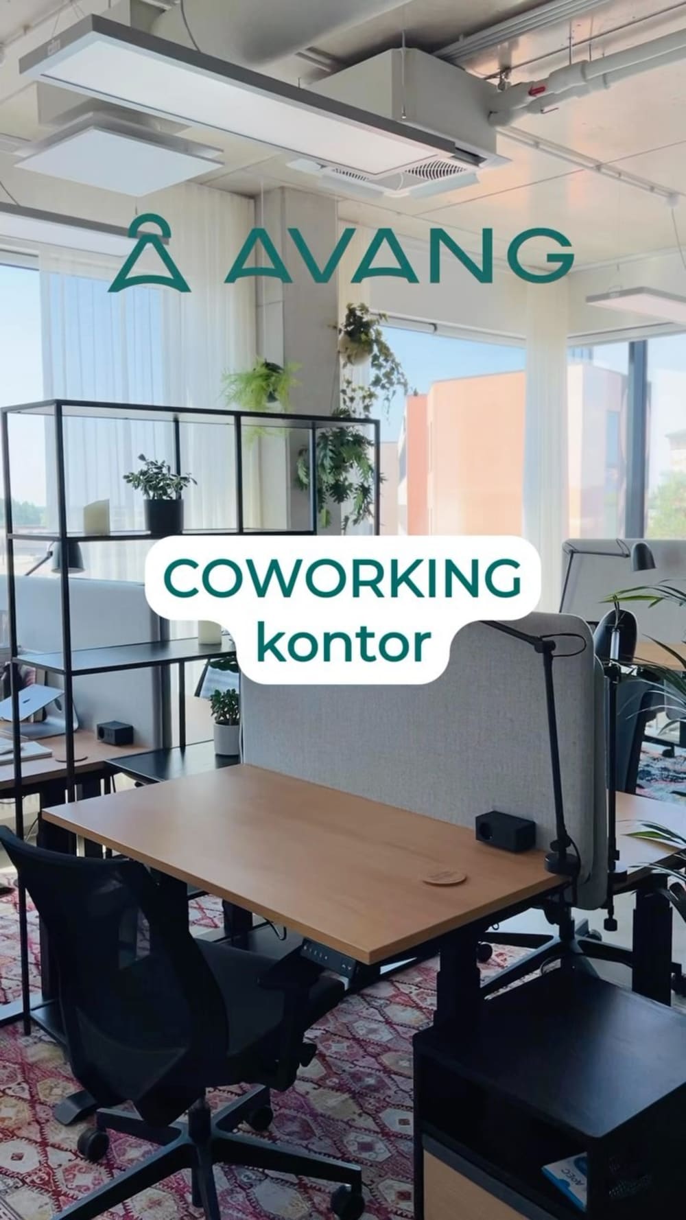 Avang Center Tallinn