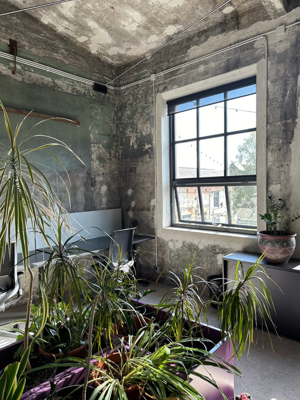 koplicowork -Tallinn