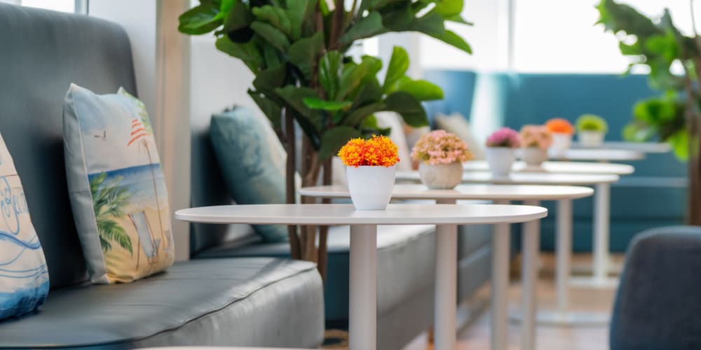 Plaza Premium Lounge Plaza Express  North Terminal