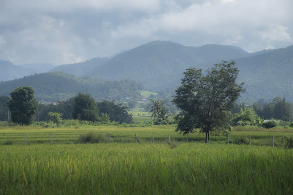 GreenSpace Co-Working